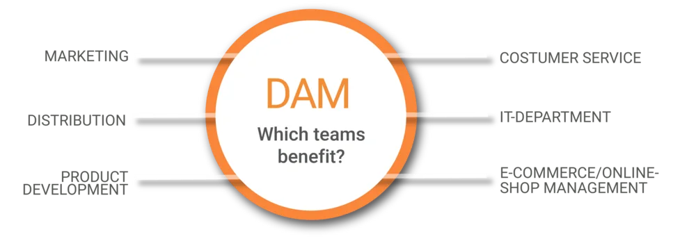 Grafik, die darstellt, welche Teams einer Firma von einem DAM(DIGITAL ASSET MANAGER) profitieren.