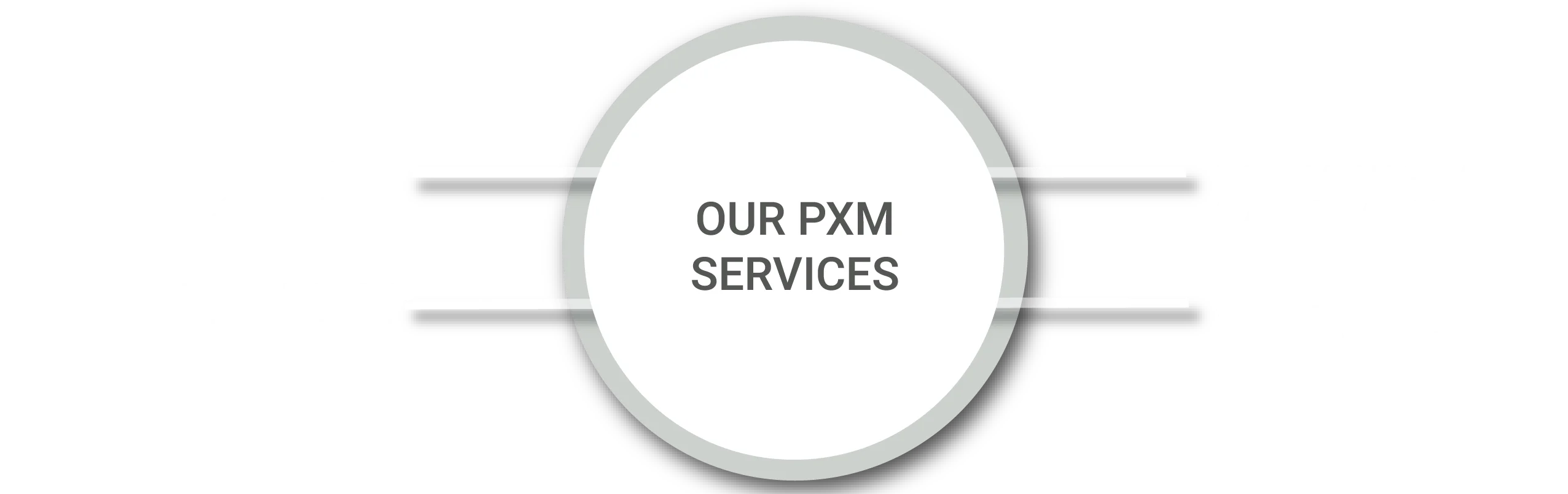 Grafik, die forbeyonds Leistungen für PXM darstellt. Strategie und Beratung, Technologie und Systemintegration, Datenmanagement und Automatisierung, Contentoptimierung.