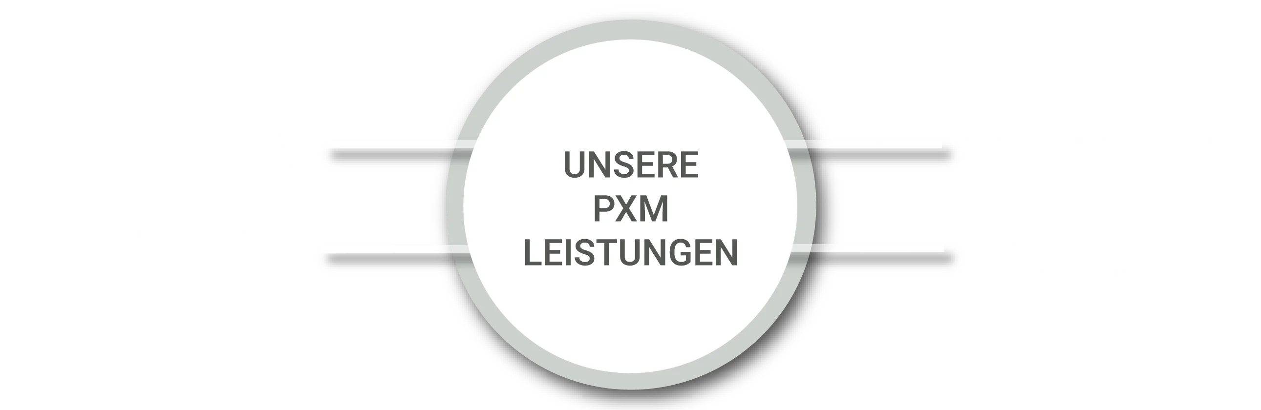 Grafik, die forbeyonds Leistungen für PXM darstellt. Strategie und Beratung, Technologie und Systemintegration, Datenmanagement und Automatisierung, Contentoptimierung.
