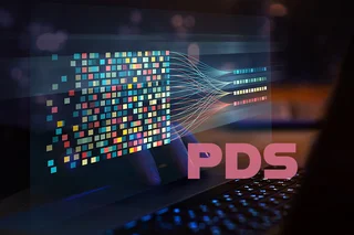 im Hintergund befindet sich ein unscharfer Bildschirm mit verschiedenen grafischen Symbolen, im Vordergrund stehen die Buchstaben "PDS"